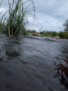 koulu tehtävä ekasta päivästä puhelimella